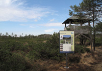 Schild und Aussichtsplattform im Burghamer Filz