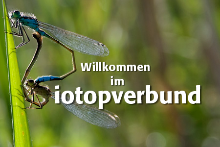 Willkommen im Biotopverbund !