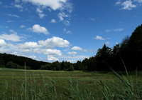 Habitat des Blaukernauges