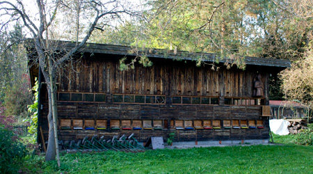 Lehrbienenstand Eggstätt