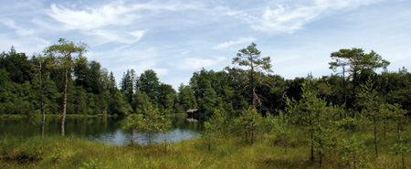 Moore in den beiden Naturschutzgebieten