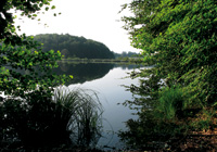 Blick auf den Schloßsee