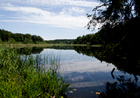 An der Seenplatte