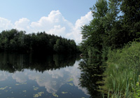 Am Stettner See