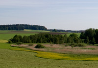 Streuwiesenkomplex am Pelhamer See